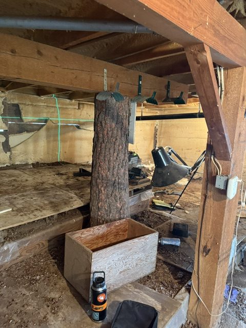 house crawl-space supports and adjacent deck (image 2)